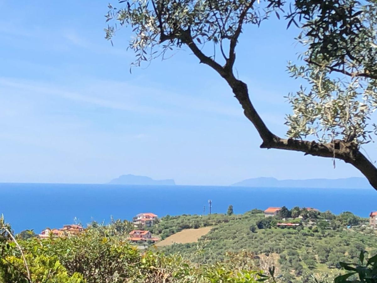 Dolce Basilico Bed & Breakfast Agropoli Luaran gambar